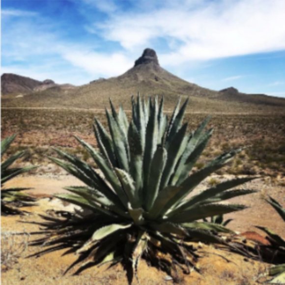 Reduced Rare Opportunity, Own A Nice Lot In Historic Oatman Arizona! Financing - Picture 1 of 12